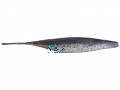 www.ShopFishingTackles.com